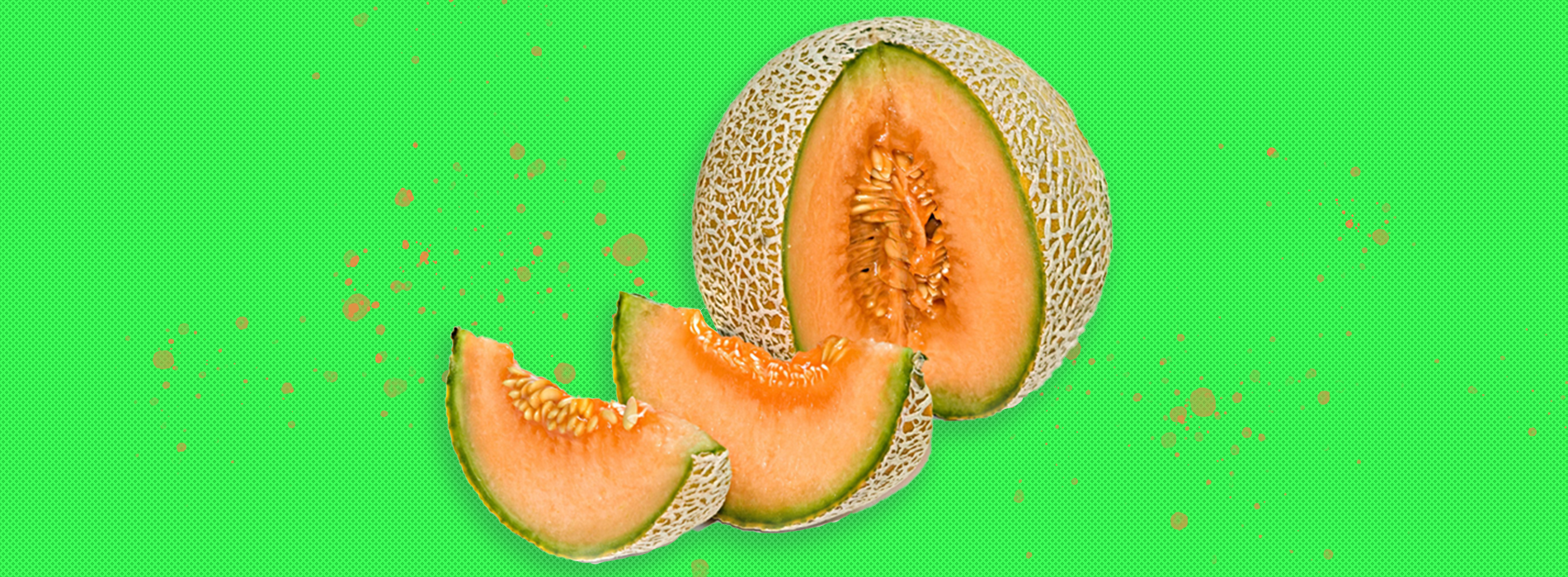 Piano di intervento Melone